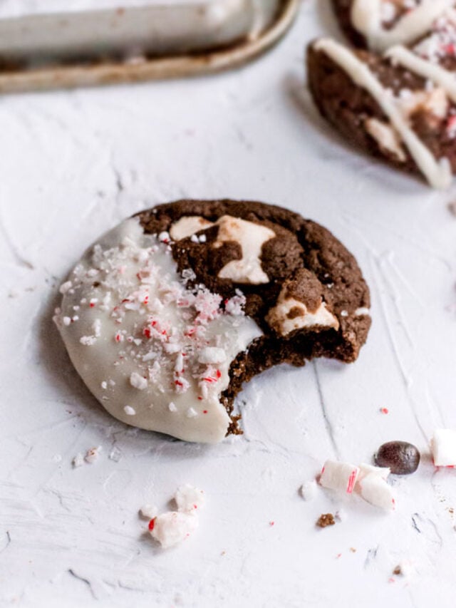 cropped-peppermint-mocha-cookies_blog7.jpg