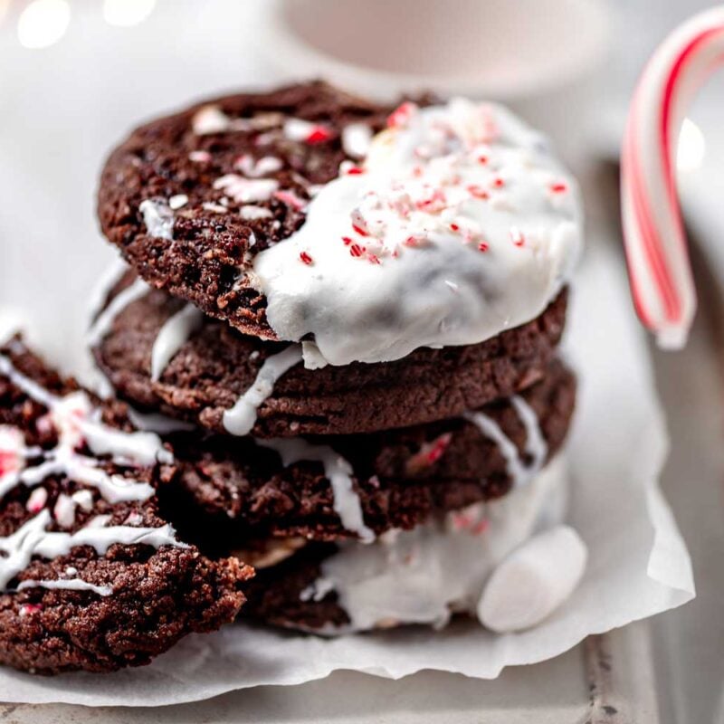vegan peppermint mocha cookies.