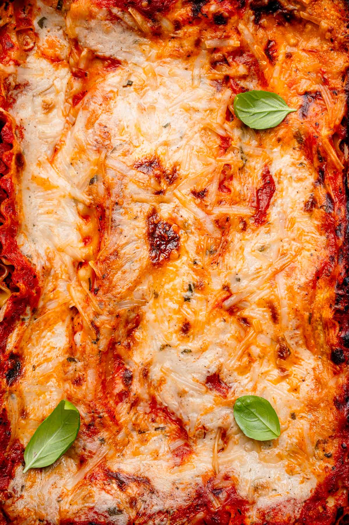 Golden-browned vegan lasagna with melted cheese and béchamel baked on top, garnished with basil leaves in a casserole dish.