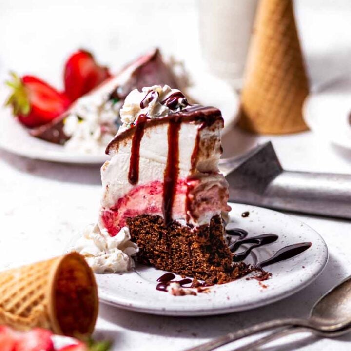 a slice of neapolitan vegan ice cream cake.