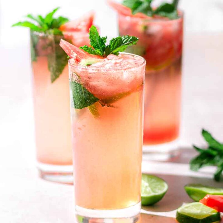 watermelon mojito
