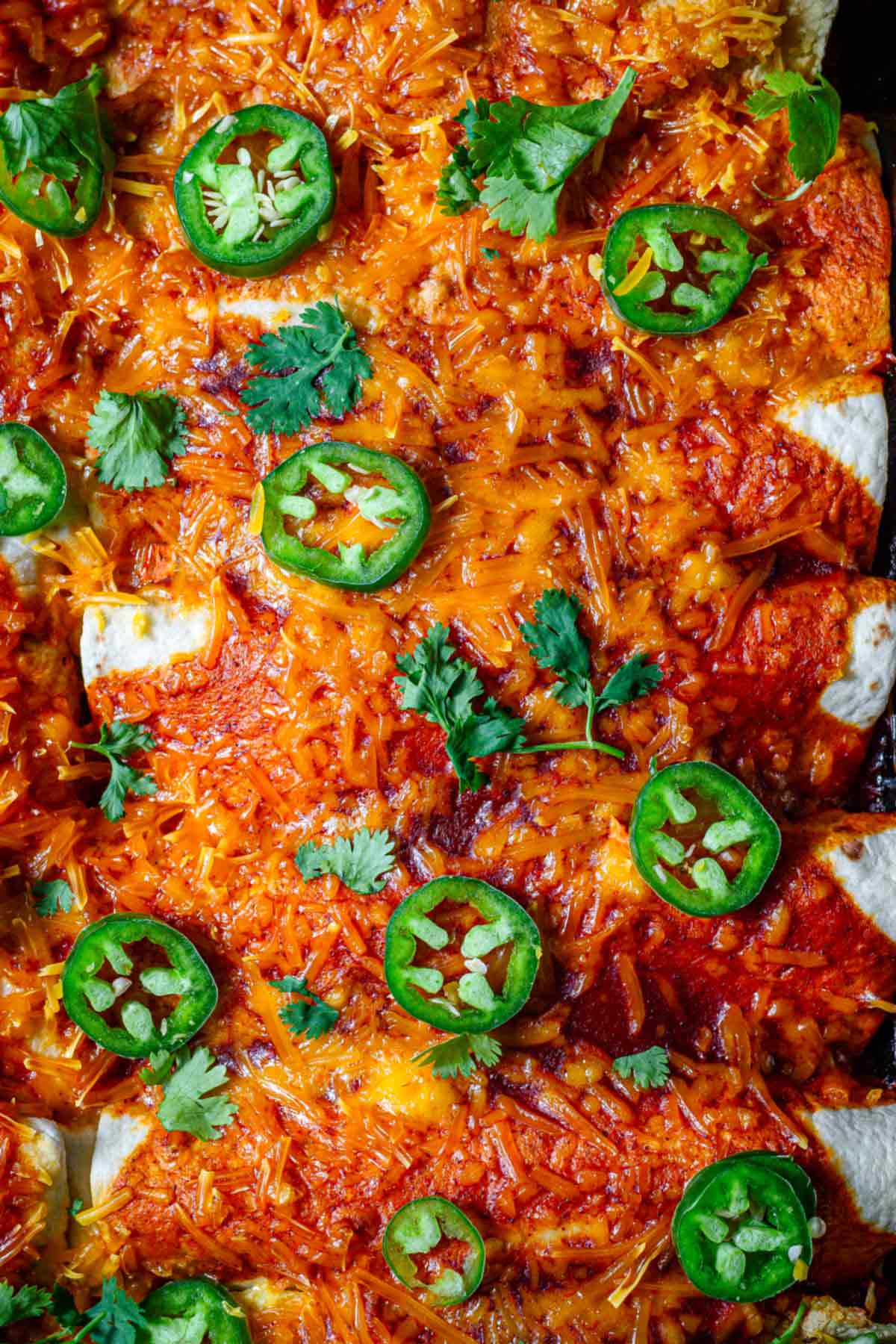a top view of the baked vegan enchiladas in a pan topped with vegan cheese and jalapeno peppers.