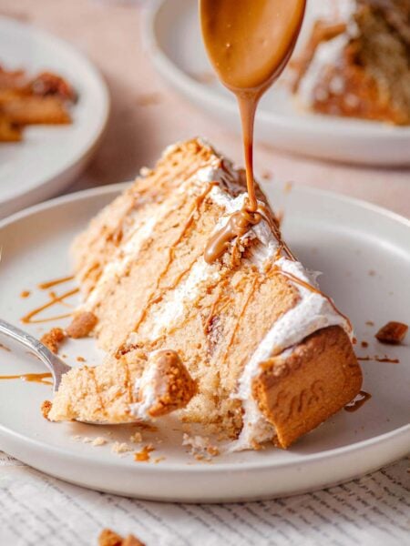 vegan biscoff cookie butter cake.