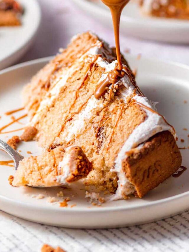 Easy Biscoff Cake