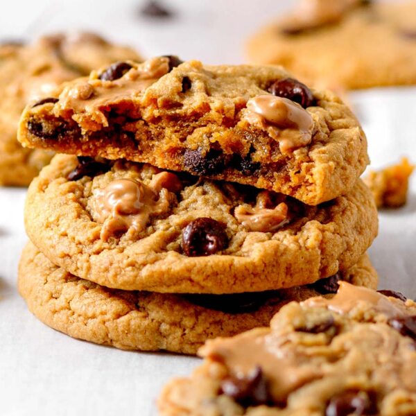 Vegan Peanut Butter Chocolate Chip Cookies