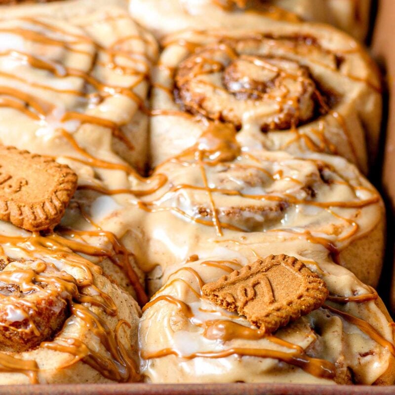 baked biscoff cinnamon rolls in a baking dish with cookie butter cream cheese frosting.