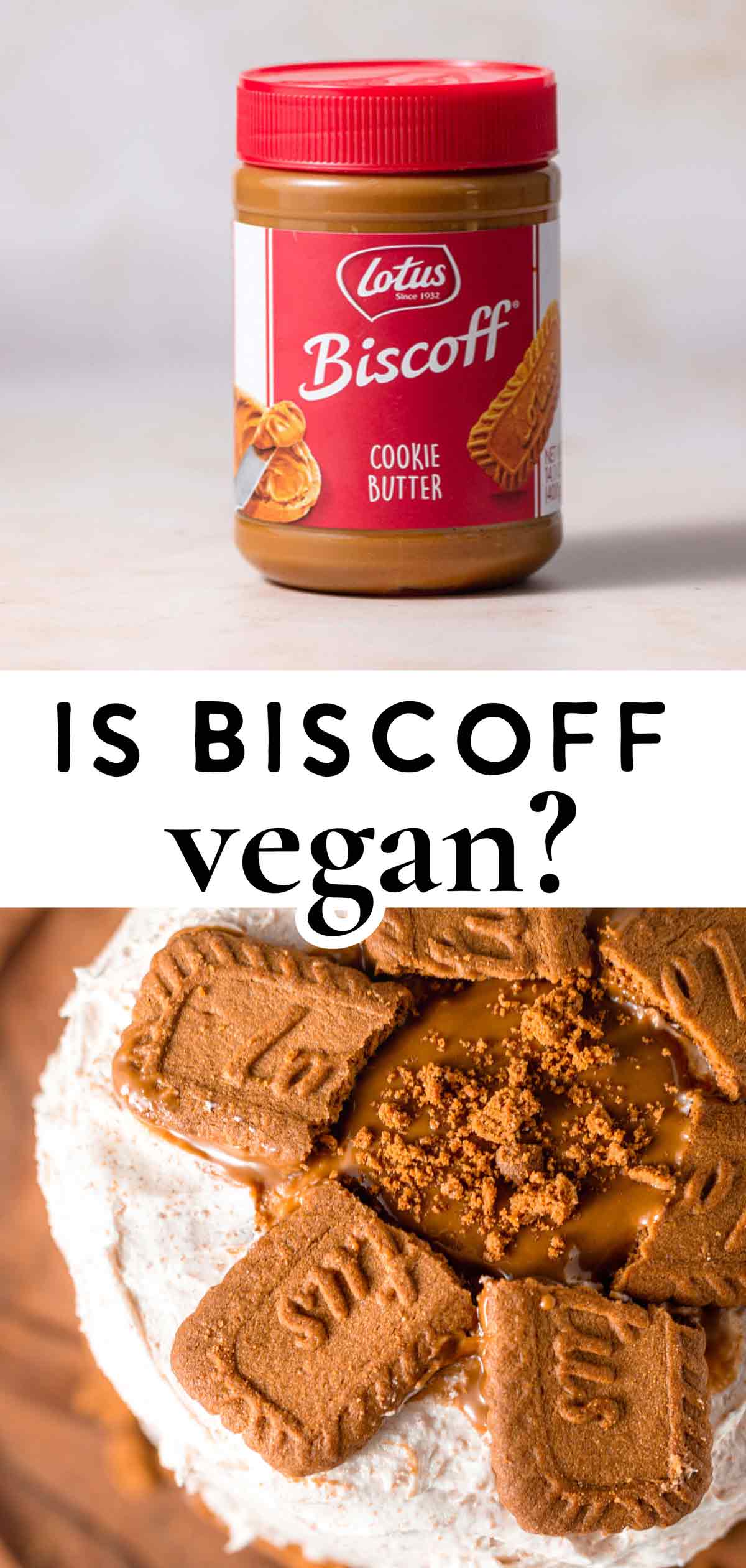 Are Lotus Biscoff Cookies & Cookie Butter Vegan? Thank You Berry Much