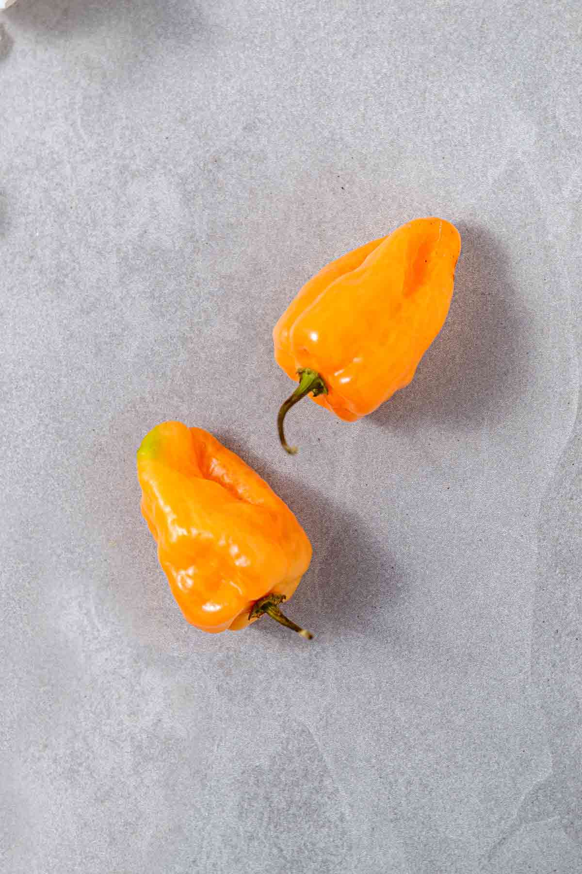 Homemade Mango Habanero Salsa (Chunky or Blended)