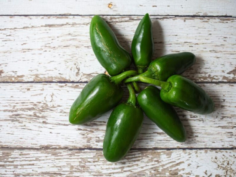 How Hot is Wasabi? Spiciness on the Scoville Scale Explained