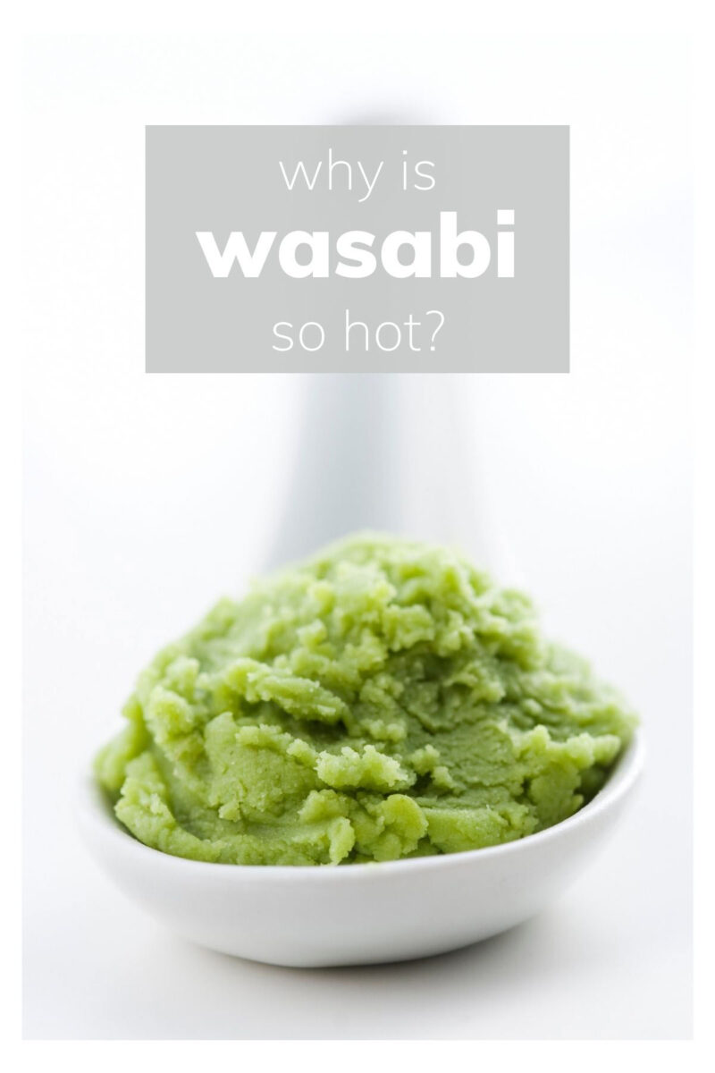 How Hot is Wasabi? Spiciness on the Scoville Scale Explained