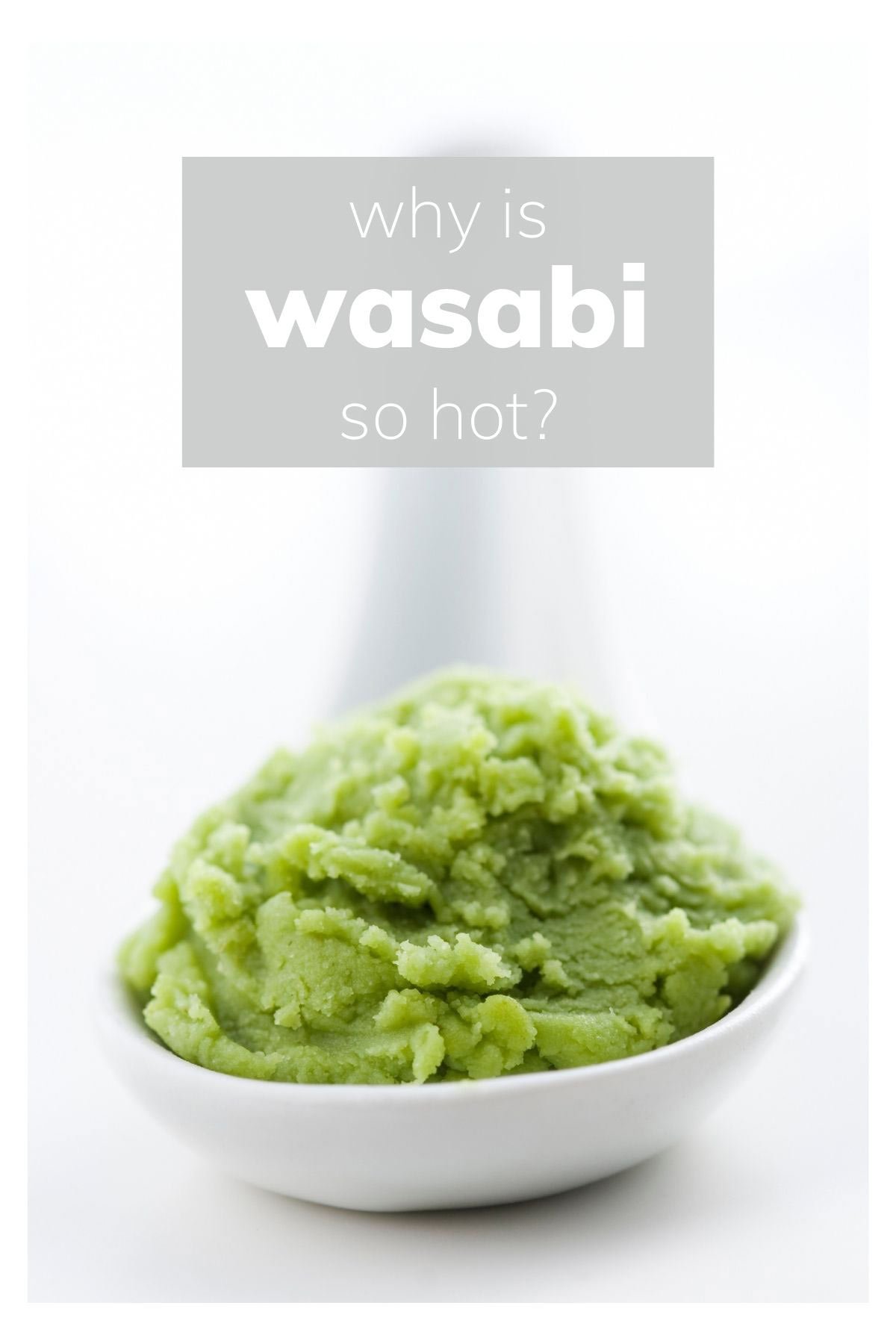 How Hot is Wasabi? Spiciness on the Scoville Scale Explained