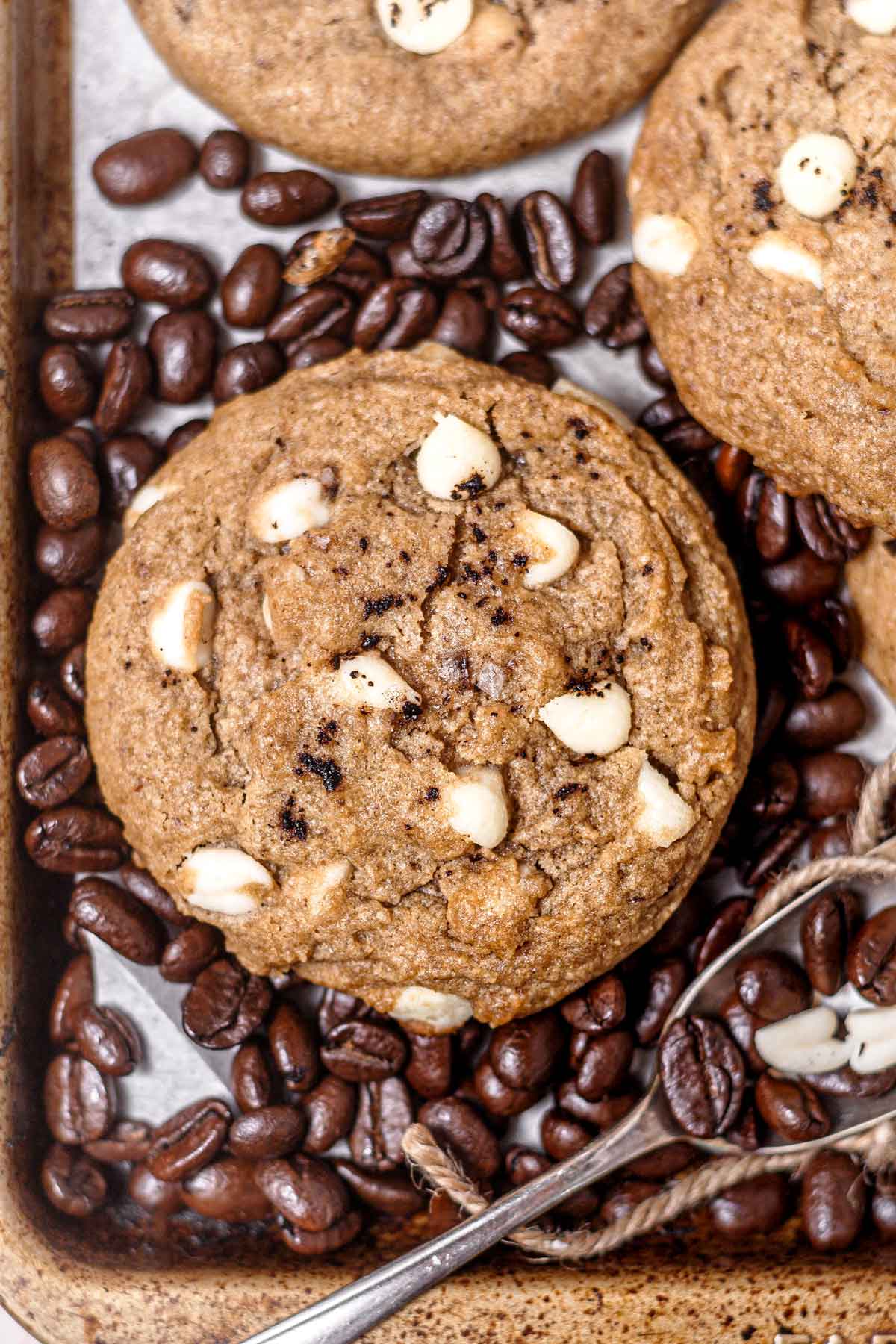 a vegan coffee cookie with white chocolate chips.