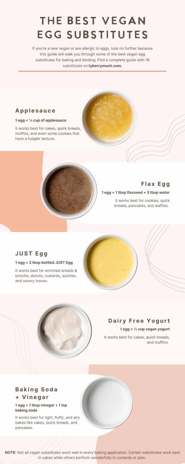 16 Best Vegan Egg Substitutes A Guide for Baking & Binding