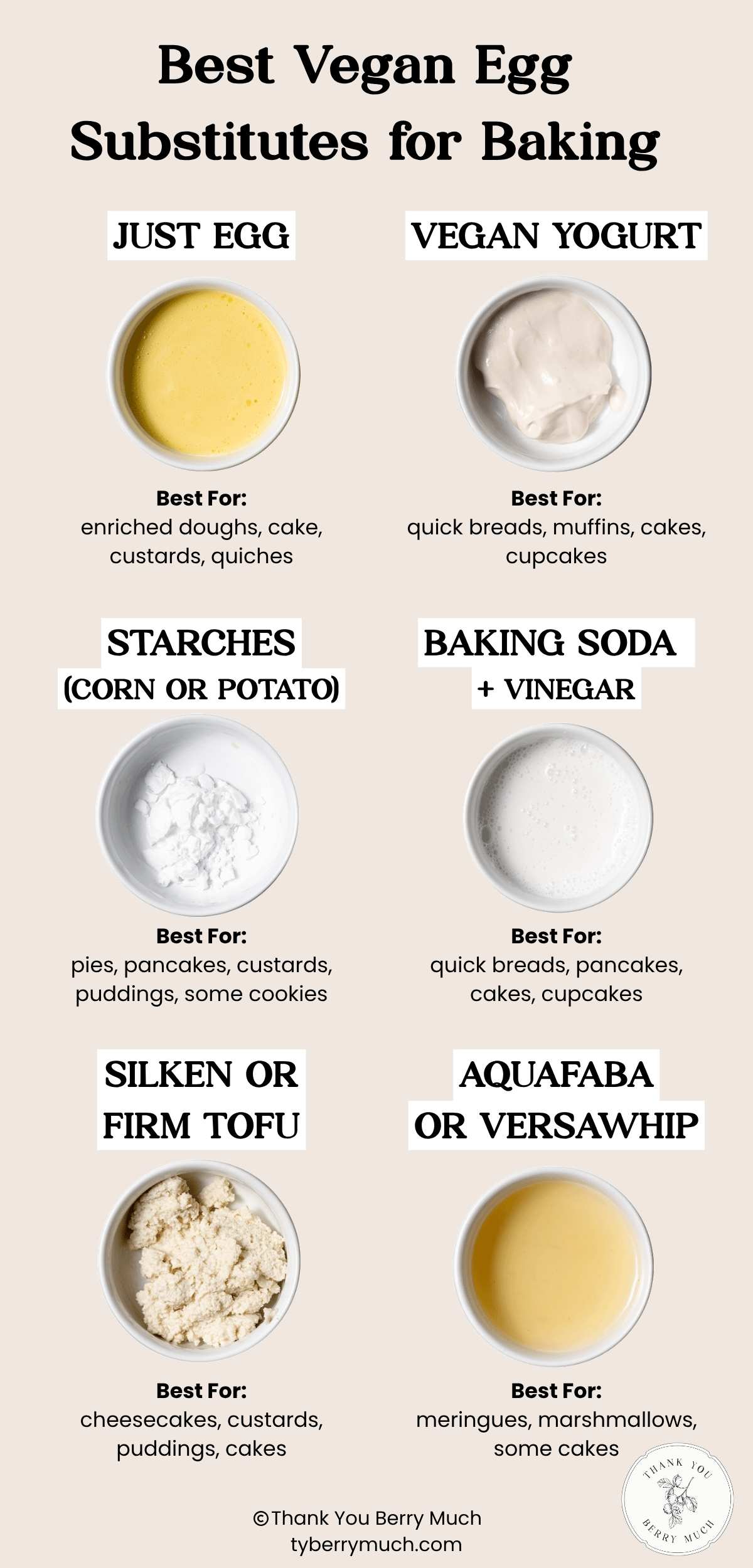 an infographic with the top 6 vegan egg substitutes I use.