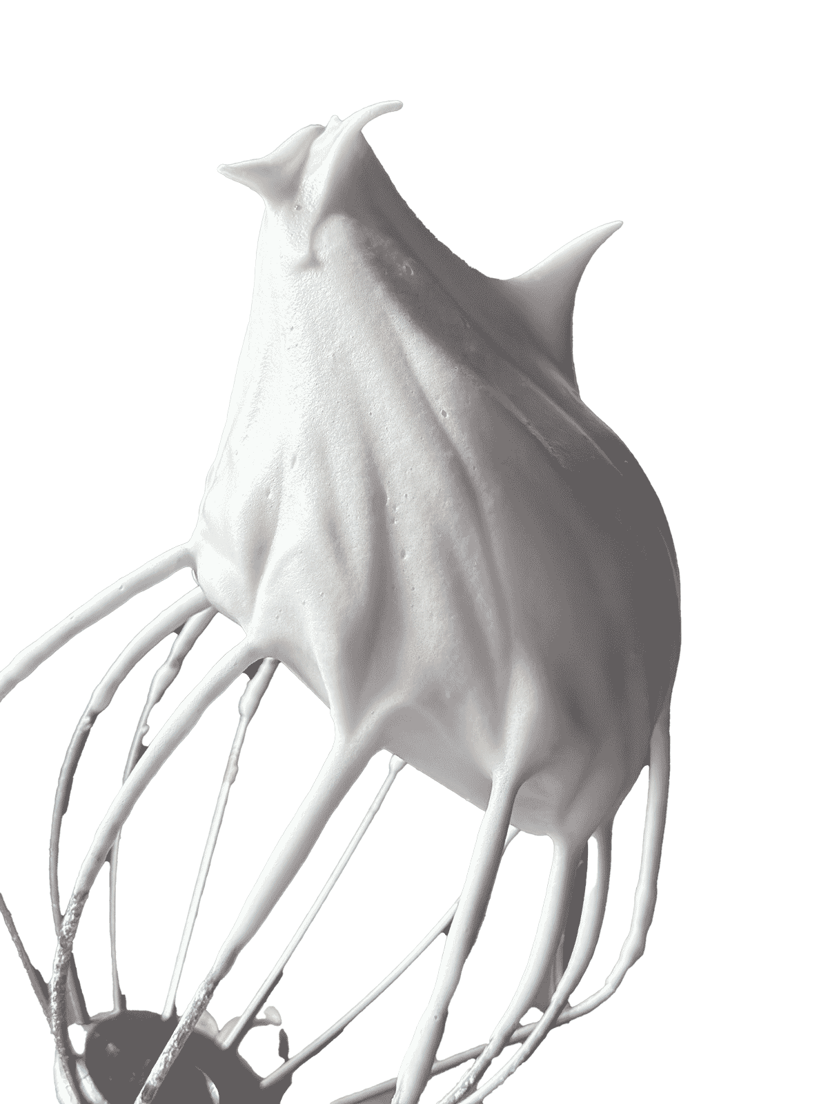 a stable meringue foam made from versawhip 600k.