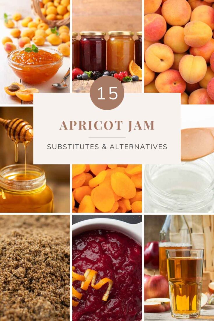 15 Best Substitutes for Apricot Jam