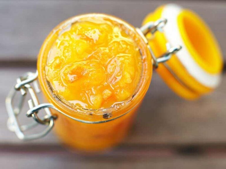15 Best Substitutes for Apricot Jam
