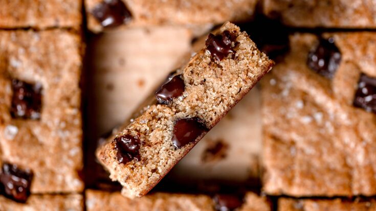 protein blondies with chocolate chips.
