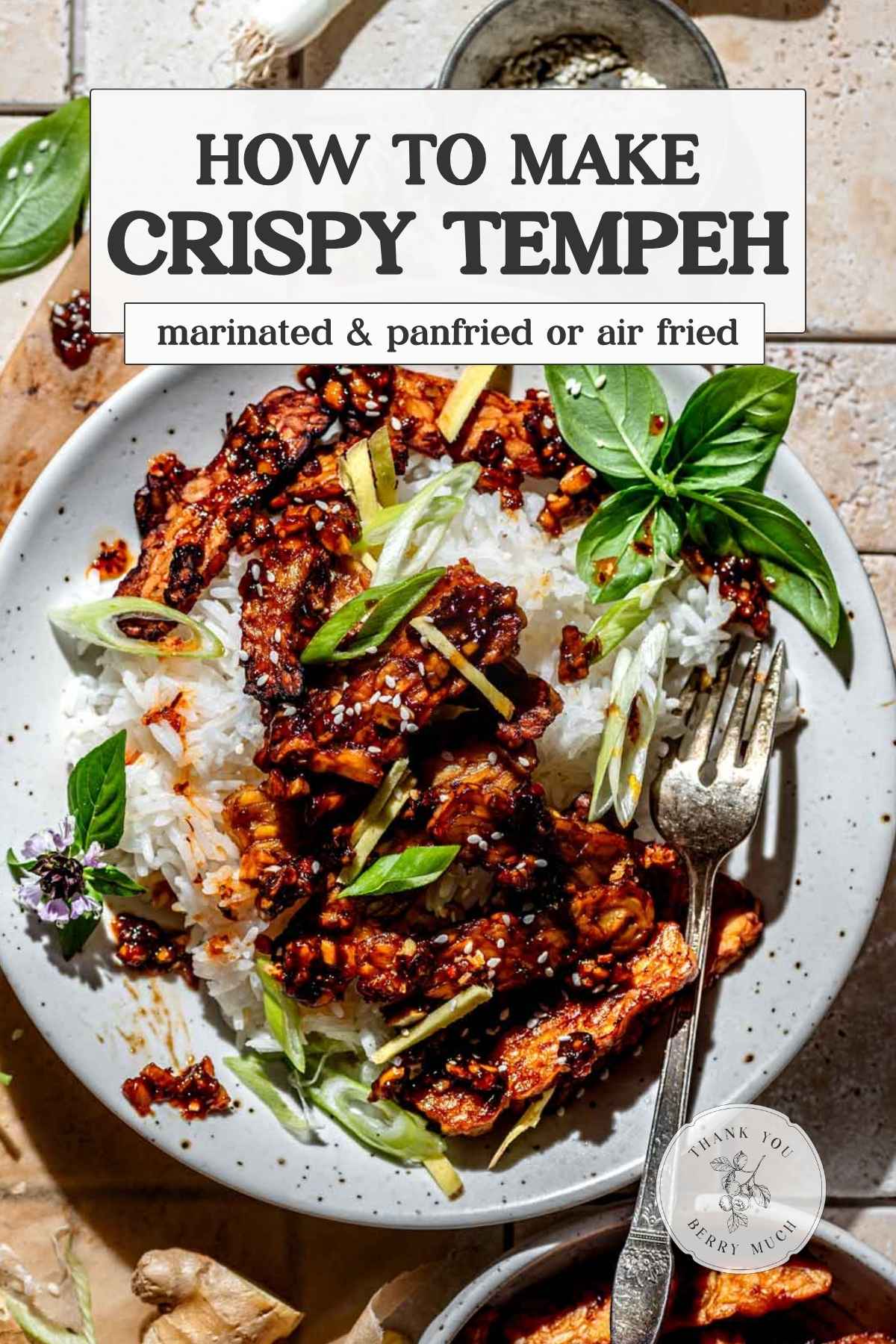 a graphic showing the tempeh recipe with text describing it.