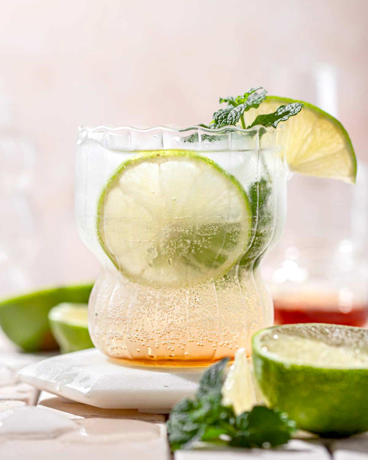 Simple Gin Mojito (Gin & Mint Cocktail)