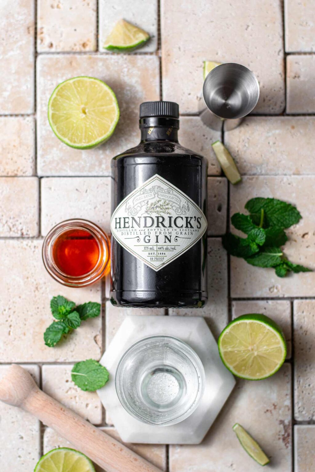 Simple Gin Mojito (Gin & Mint Cocktail)