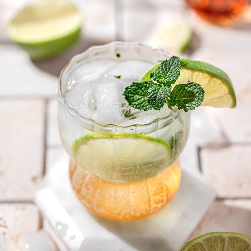 Simple gin mojito in a glass with a sprig on mint and a lime wedge.
