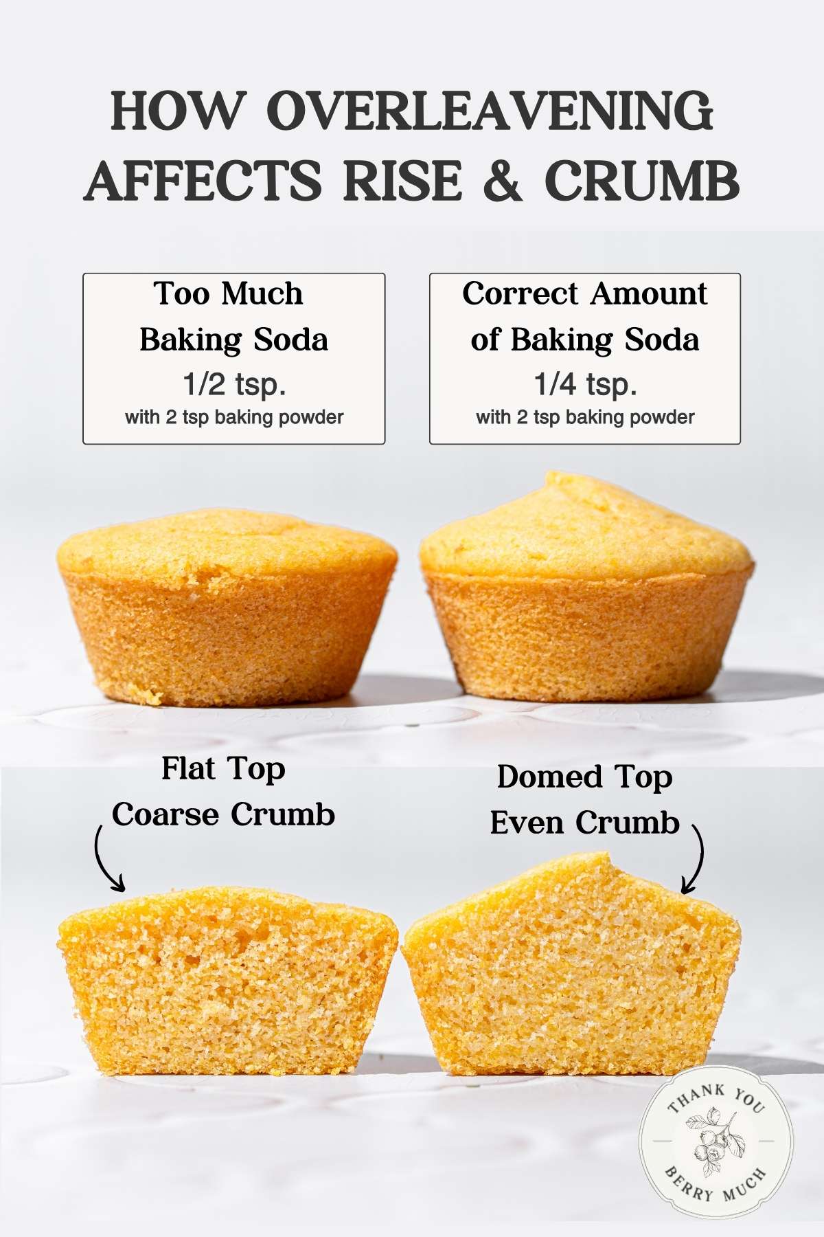 an infographic with a side by side comparison of a cornbread muffin with a flat top next to one that is properly risen.