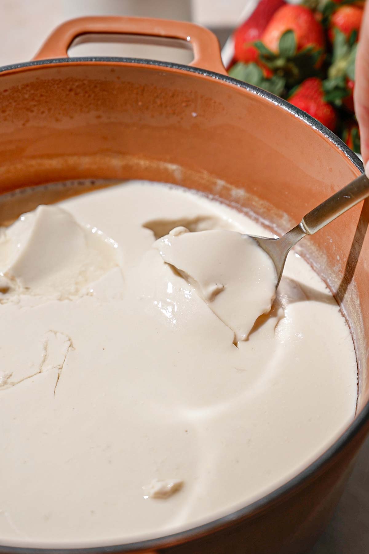 the cultured and fermented dairy free soy yogurt.