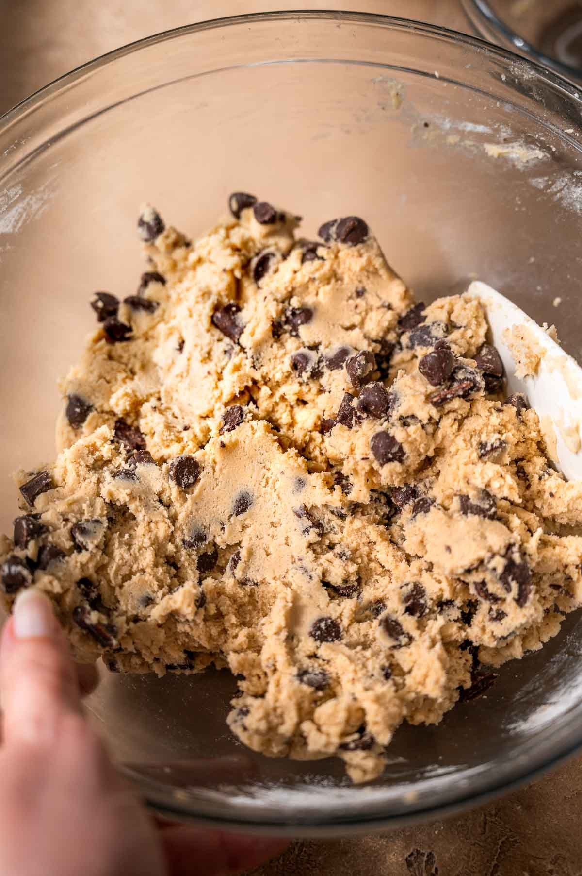 chocolate chip cookie dough.