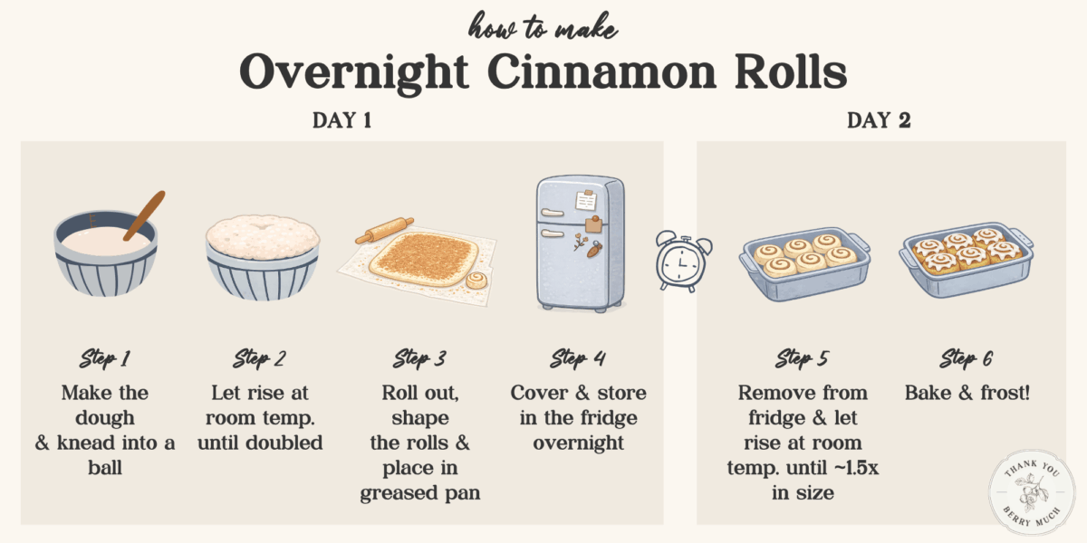 a graphic showing step by step how to make overnight cinnamon rolls.