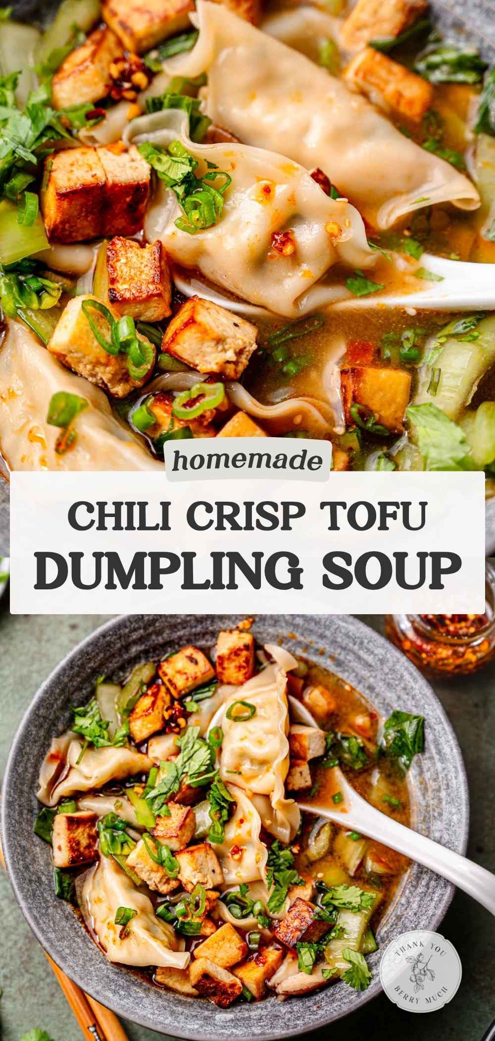 a pinterest pin for the dumpling soup recipe with a text overlay describing the recipe.