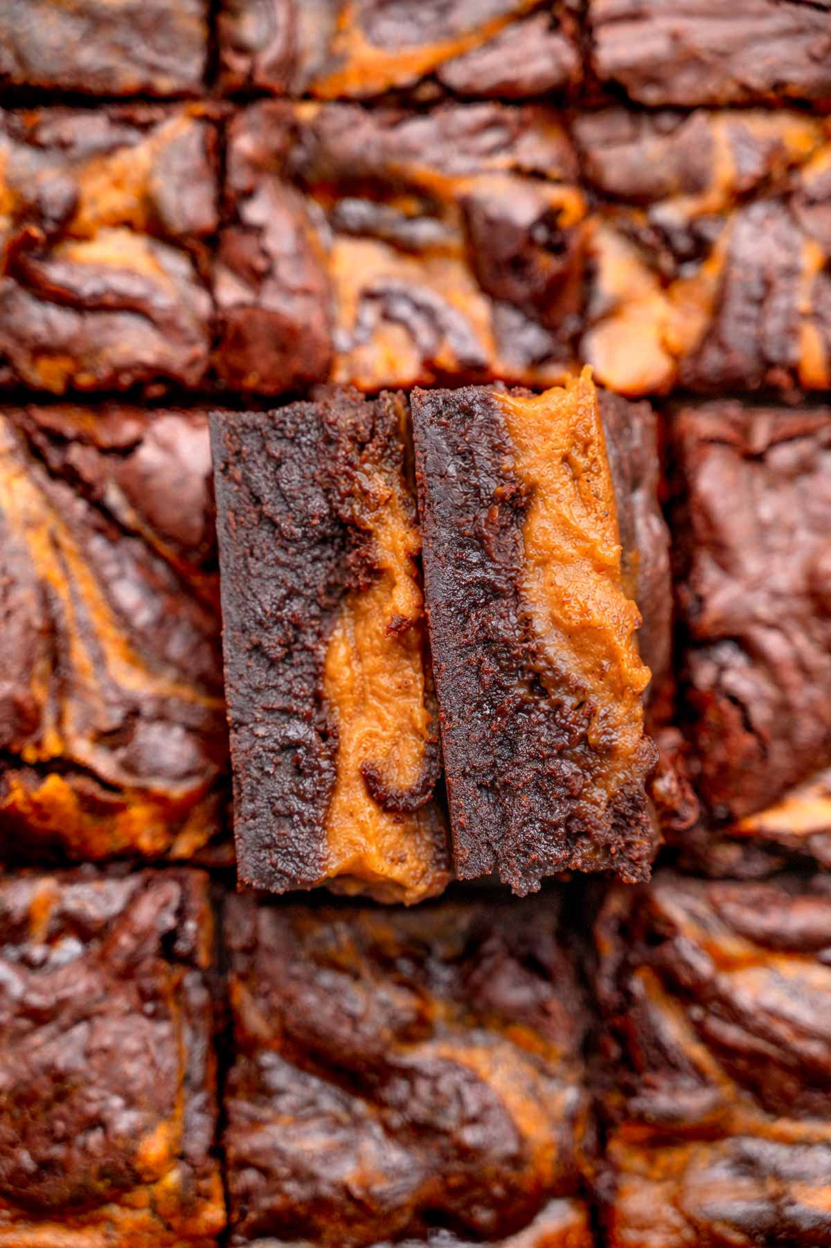 two vegan pumpkin brownies with a fudgy texture.
