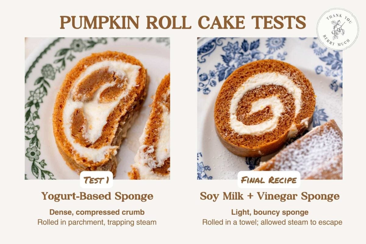 Side-by-side comparison of a dense dairy-free yogurt-based pumpkin sponge and a lighter, bouncier soy milk sponge.